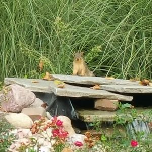 Meet your Posher, Abir